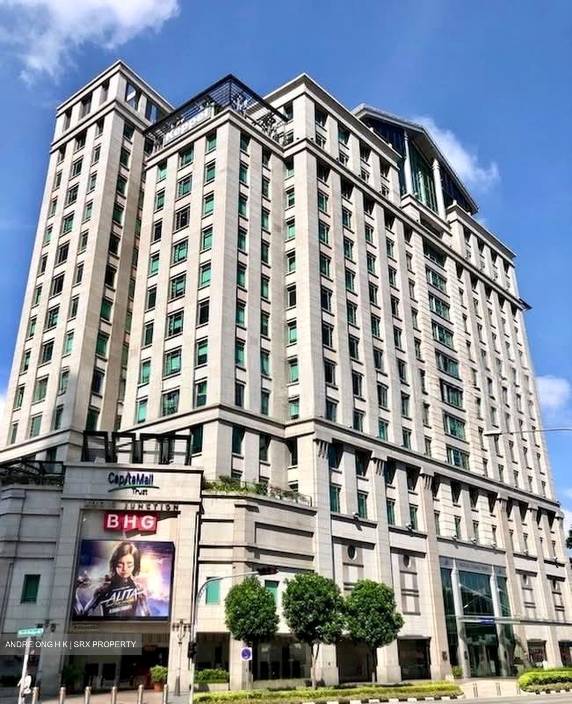 Bugis Junction (D7), Office #593483511